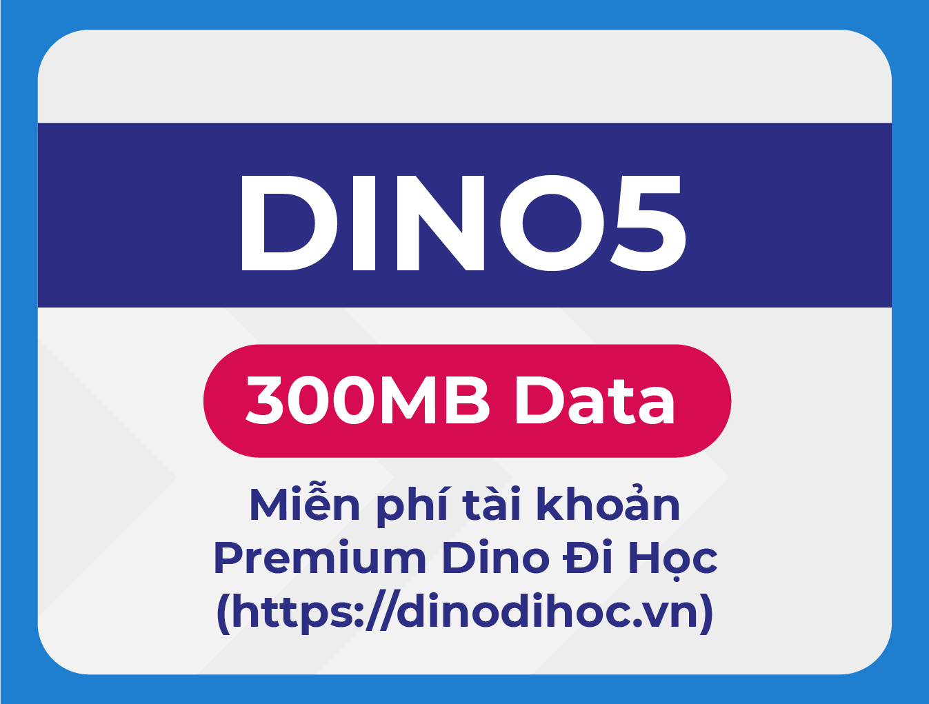DINO5